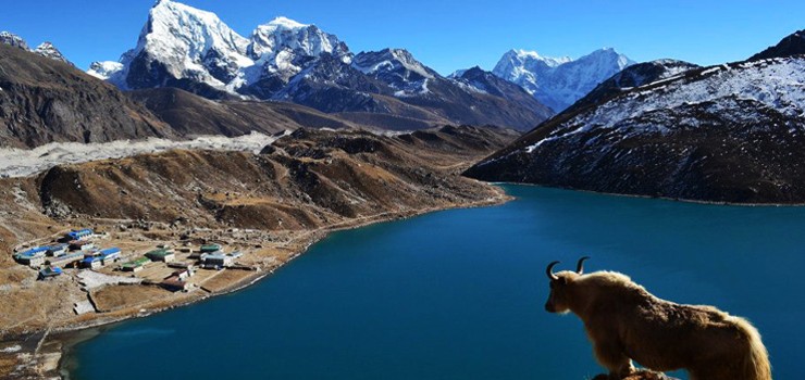 Everest Base Camp Trek via Gokyo lake