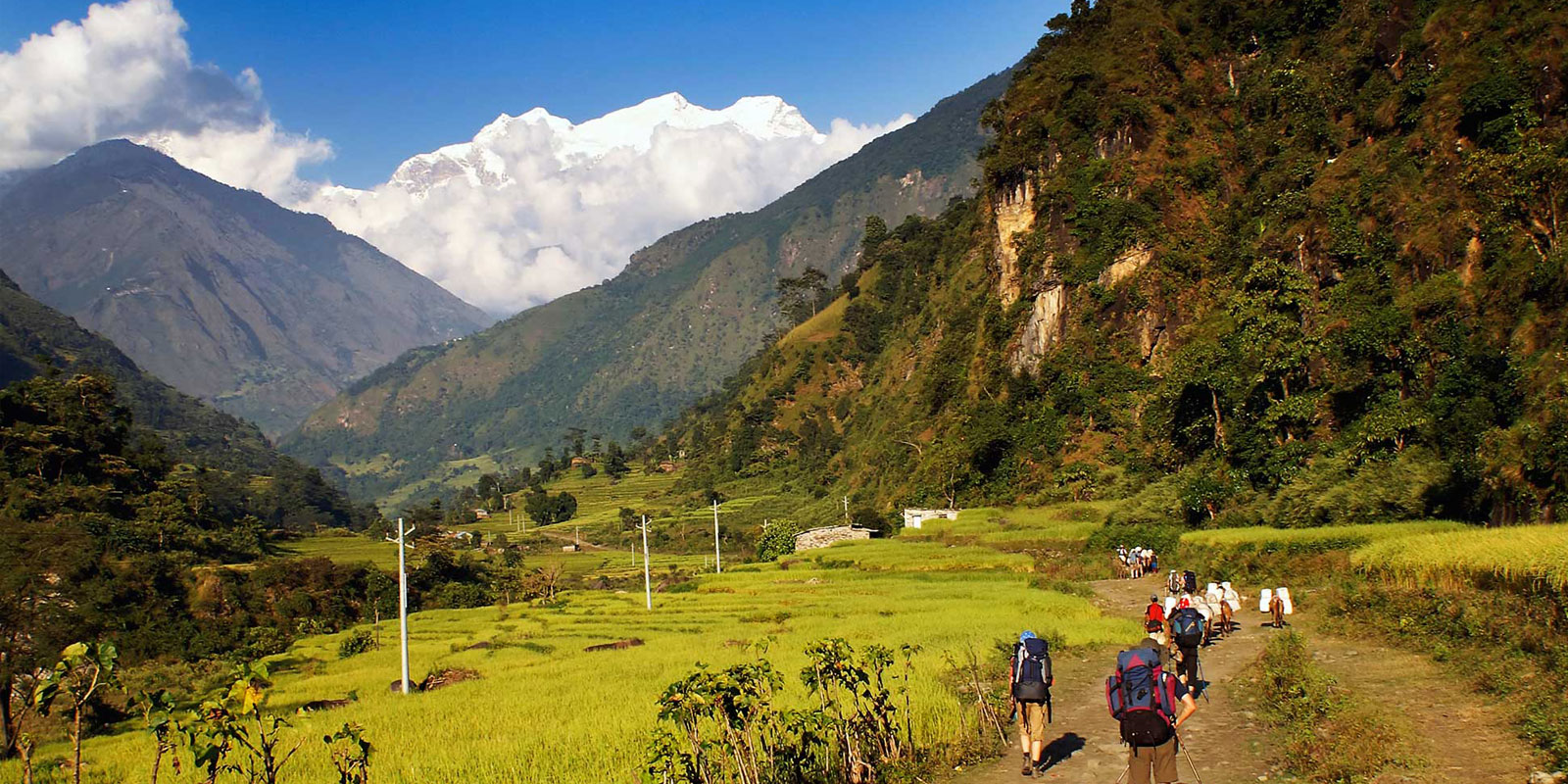 Arun Valley Everest Panorama Trek